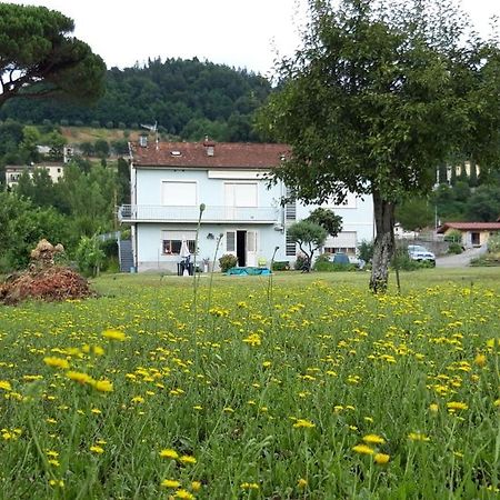 Affittacamere La Foresta Di Sopra 巴尔加 外观 照片