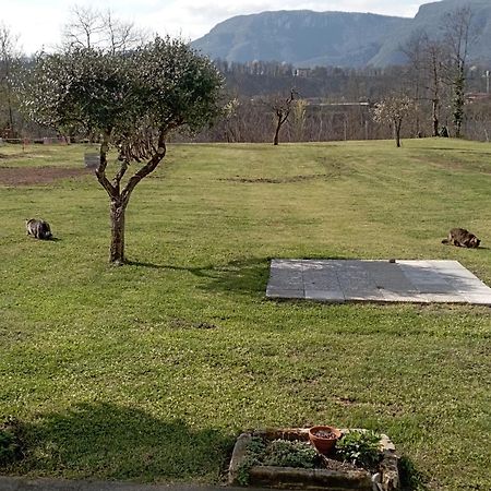 Affittacamere La Foresta Di Sopra 巴尔加 外观 照片