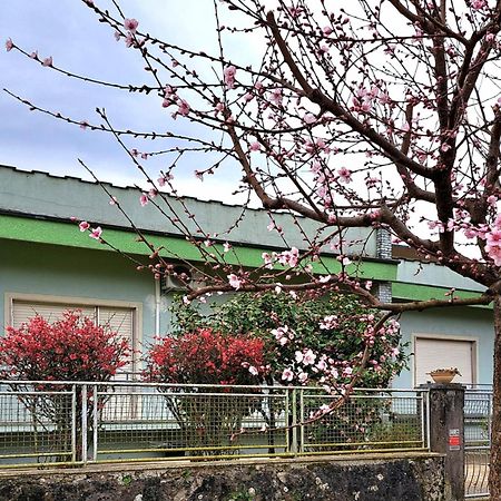 Affittacamere La Foresta Di Sopra 巴尔加 外观 照片