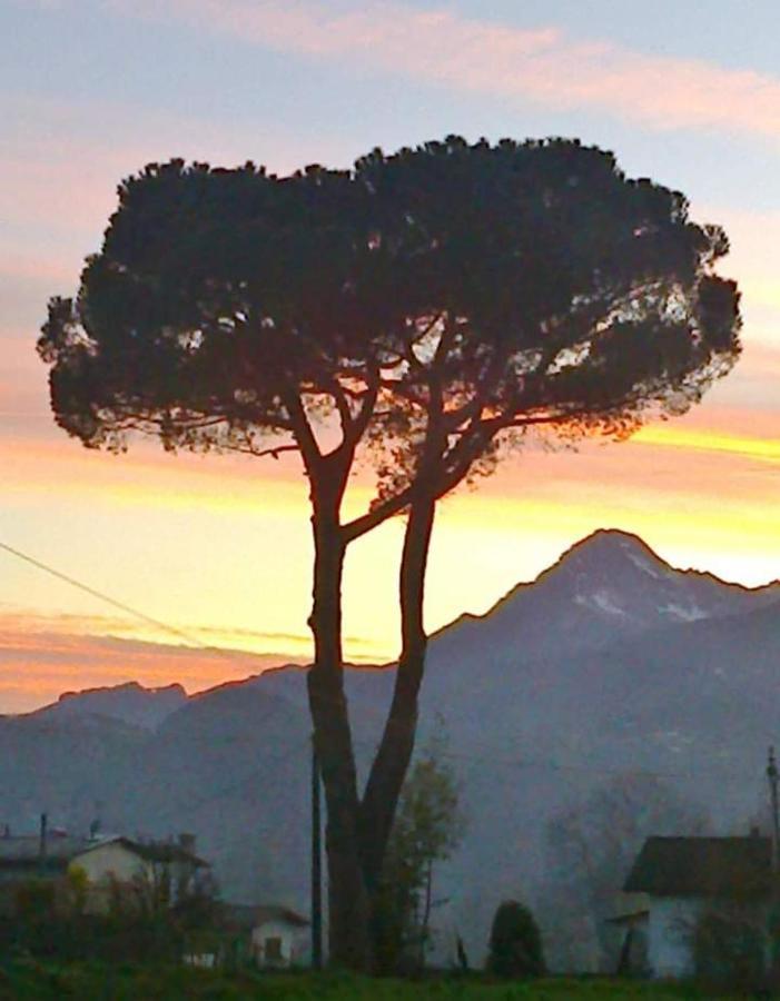 Affittacamere La Foresta Di Sopra 巴尔加 外观 照片