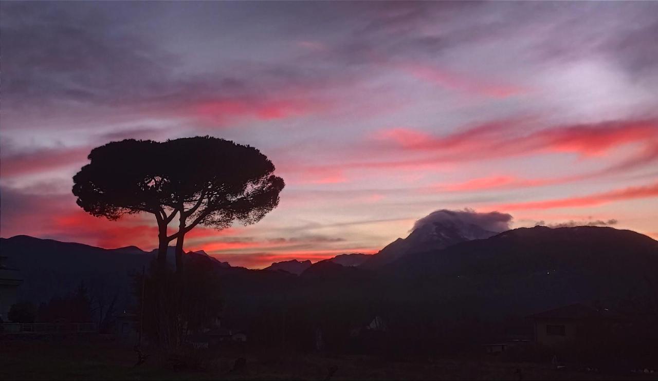 Affittacamere La Foresta Di Sopra 巴尔加 外观 照片