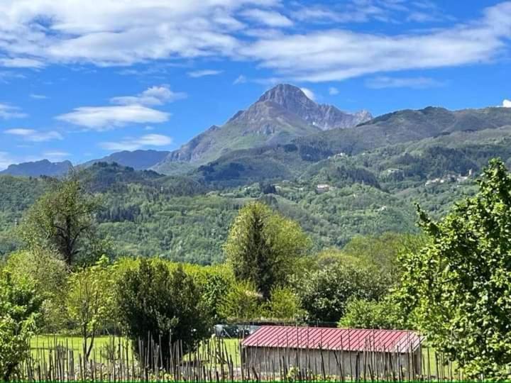 Affittacamere La Foresta Di Sopra 巴尔加 外观 照片