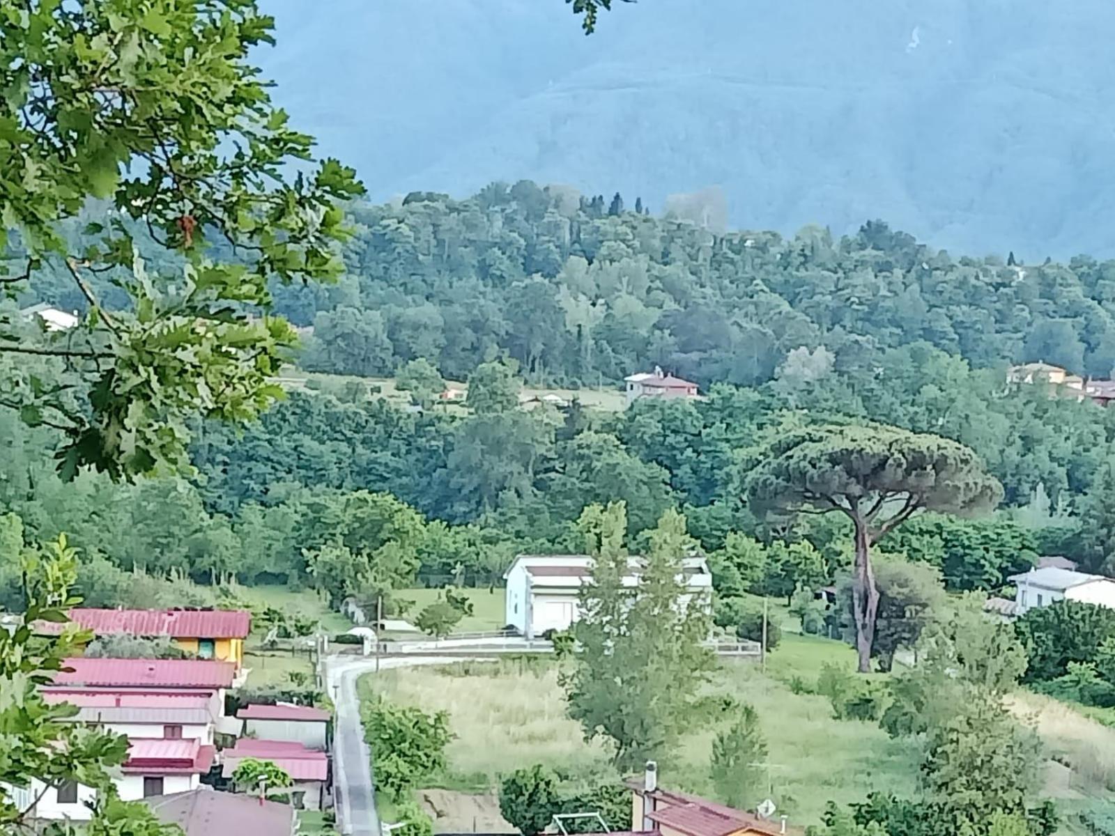 Affittacamere La Foresta Di Sopra 巴尔加 外观 照片